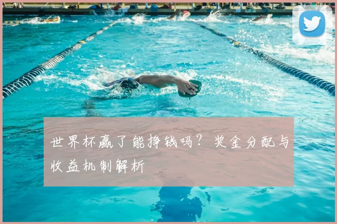 世界杯赢了能挣钱吗？奖金分配与收益机制解析