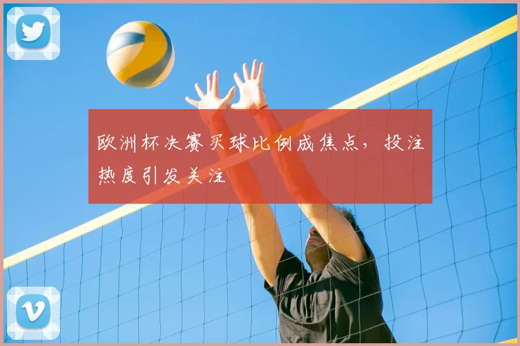 欧洲杯决赛买球比例成焦点,投注热度引发关注