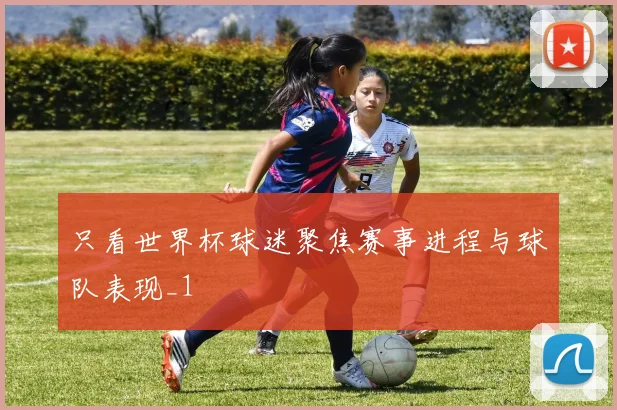 只看世界杯球迷聚焦赛事进程与球队表现_1