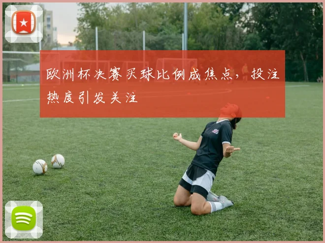 欧洲杯决赛买球比例成焦点，投注热度引发关注
