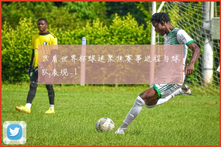 只看世界杯球迷聚焦赛事进程与球队表现_1