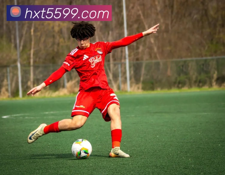 世界杯app官网平台生态图